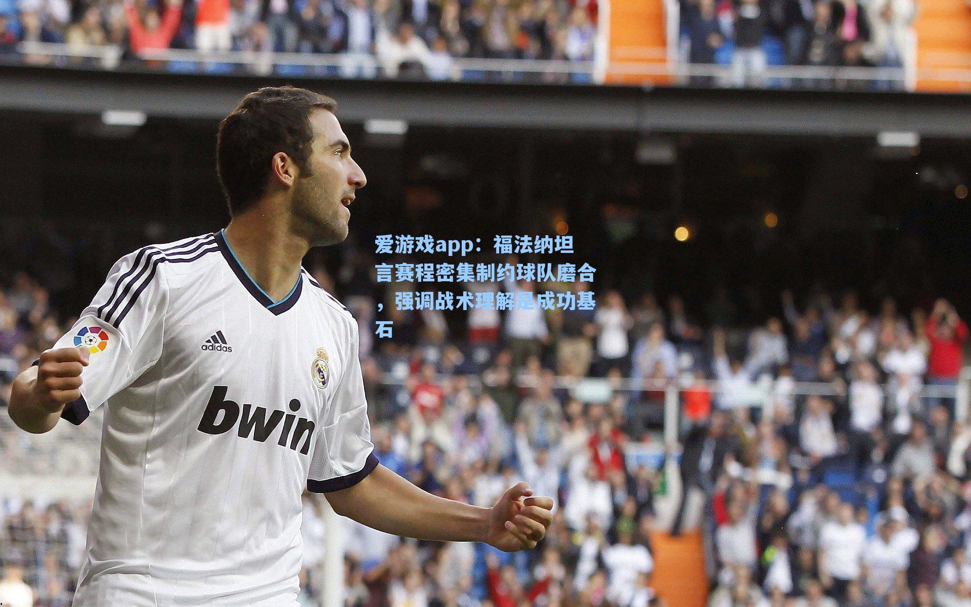 福法纳坦言赛程密集制约球队磨合，强调战术理解是成功基石